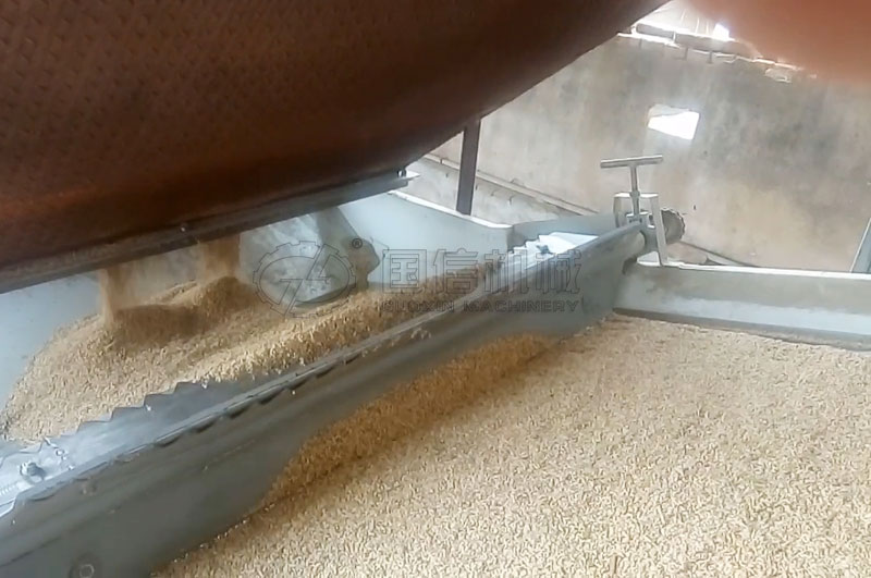 安徽鳳陽客戶烘干蒸谷米原稻現場