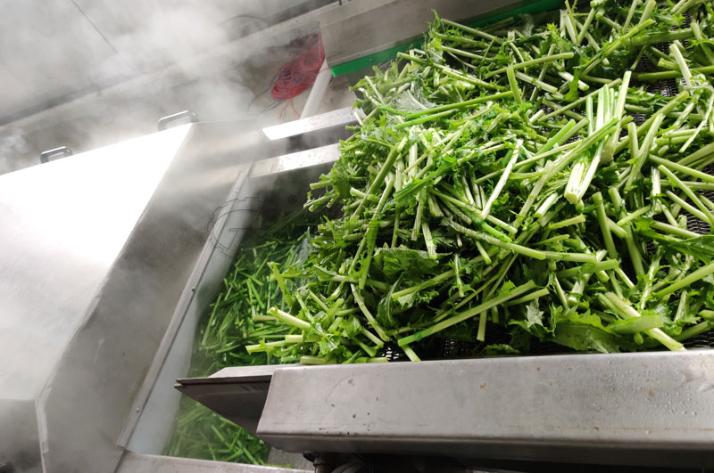 不銹鋼制作的漂燙蒸煮機，四周雙層保溫